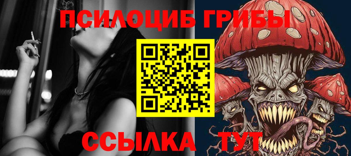 Псилоцибиновые грибы Psilocybe  Вход с VPN  Клин 